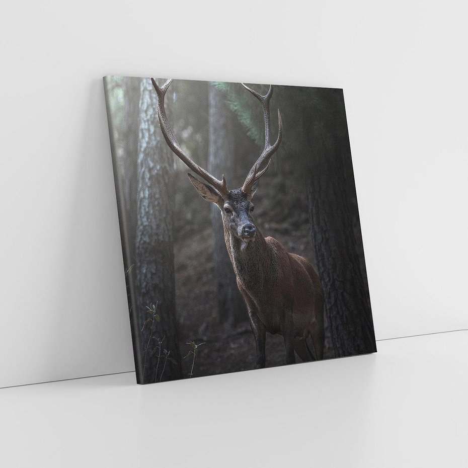 Obraz na płótnie 50x50 - Jeleń wśród lasu - jeleń, las