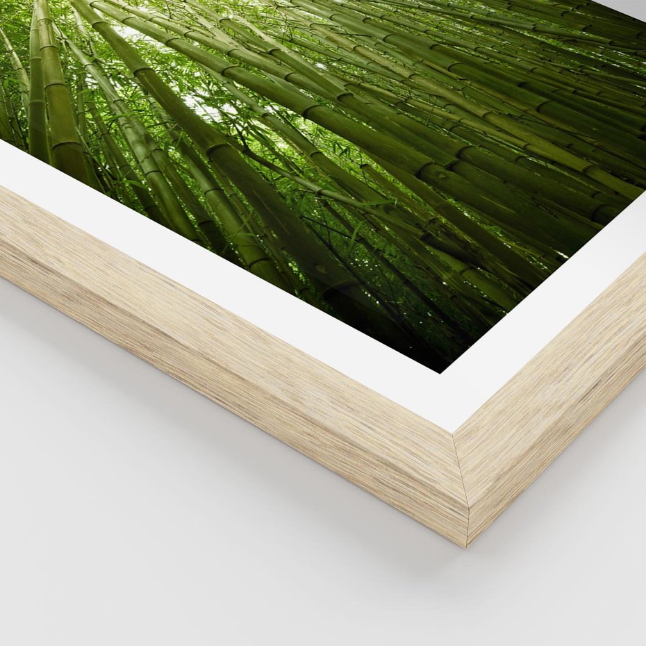 Plakat w ramie 50x70 - Siła Natury - drzewa, las - rama drewno