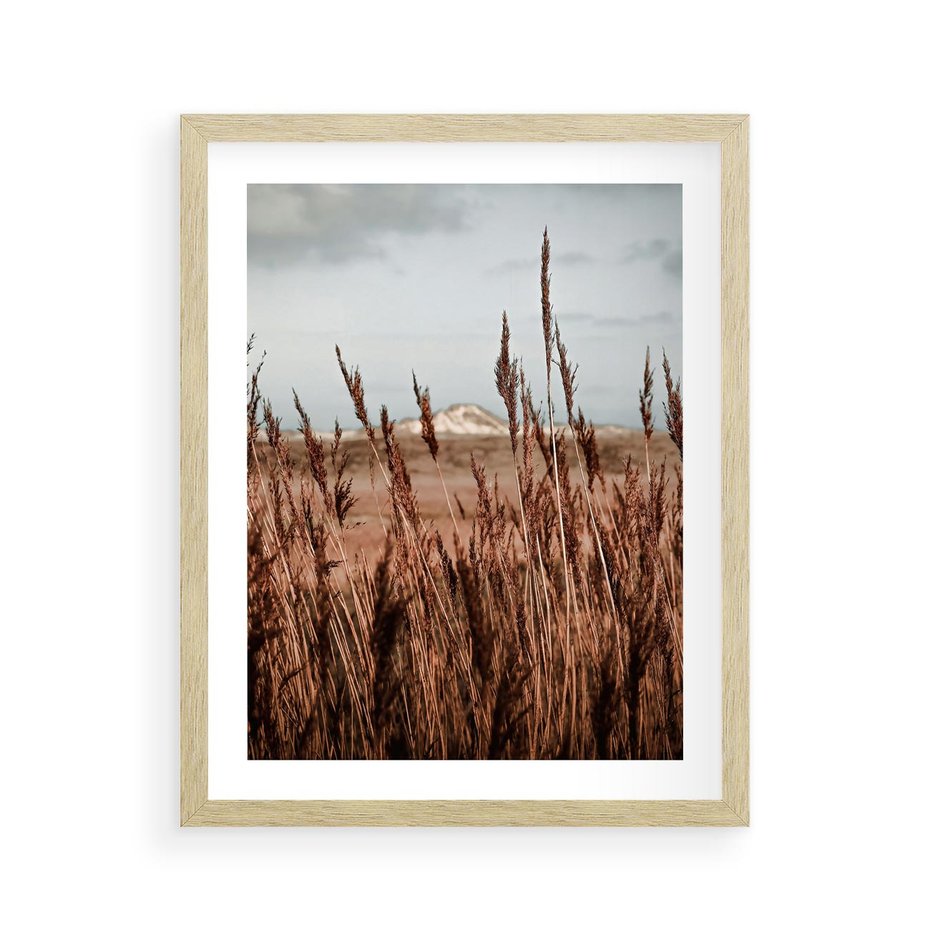 Plakat w ramie 40x50 - Wysokie Trawy w Górskim Krajobrazie - suche trawy, wysokie trawy - rama drewno