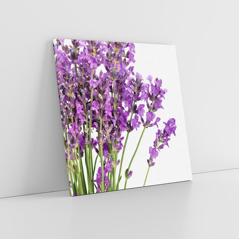 Obraz na płótnie 50x50 - Pola lawendy w pełnym rozkwicie - lawenda, kwiaty