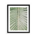 Plakat w ramie 40x50 - Jasna Zieleń Palmy - liść palmy, zbliżenie - rama czarna