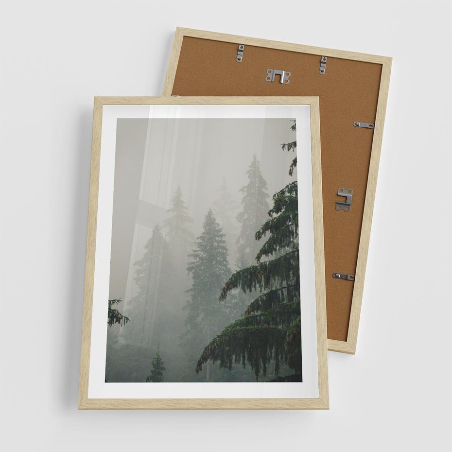 Plakat w ramie 50x70 - Mglista przemiana lasu - las, mgła - rama drewno