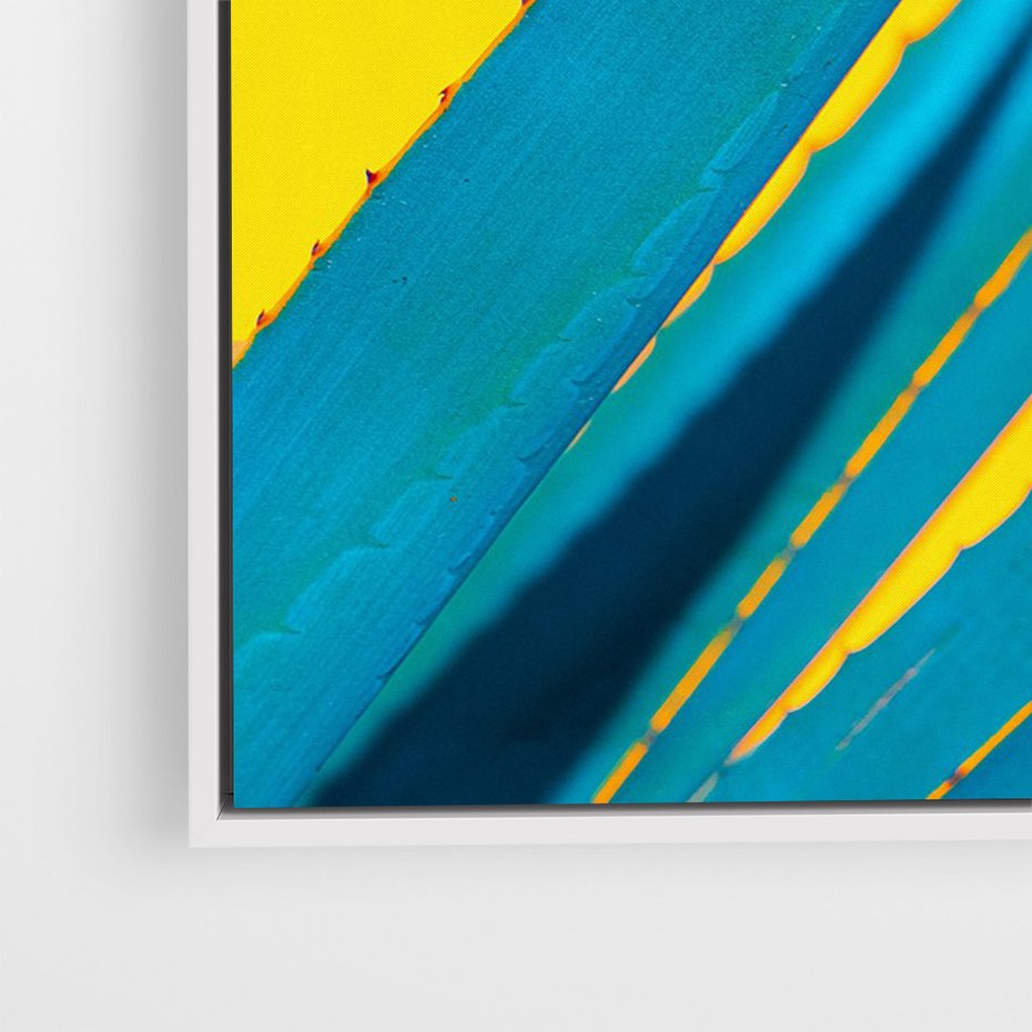 Obraz w ramie 50x70 - Świeżość Natury - aloes, liście - rama biała