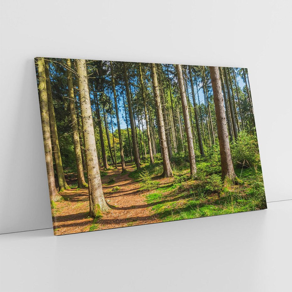 Obraz na płótnie 120x80 - Mistyfikacje lasu - las, drzewa