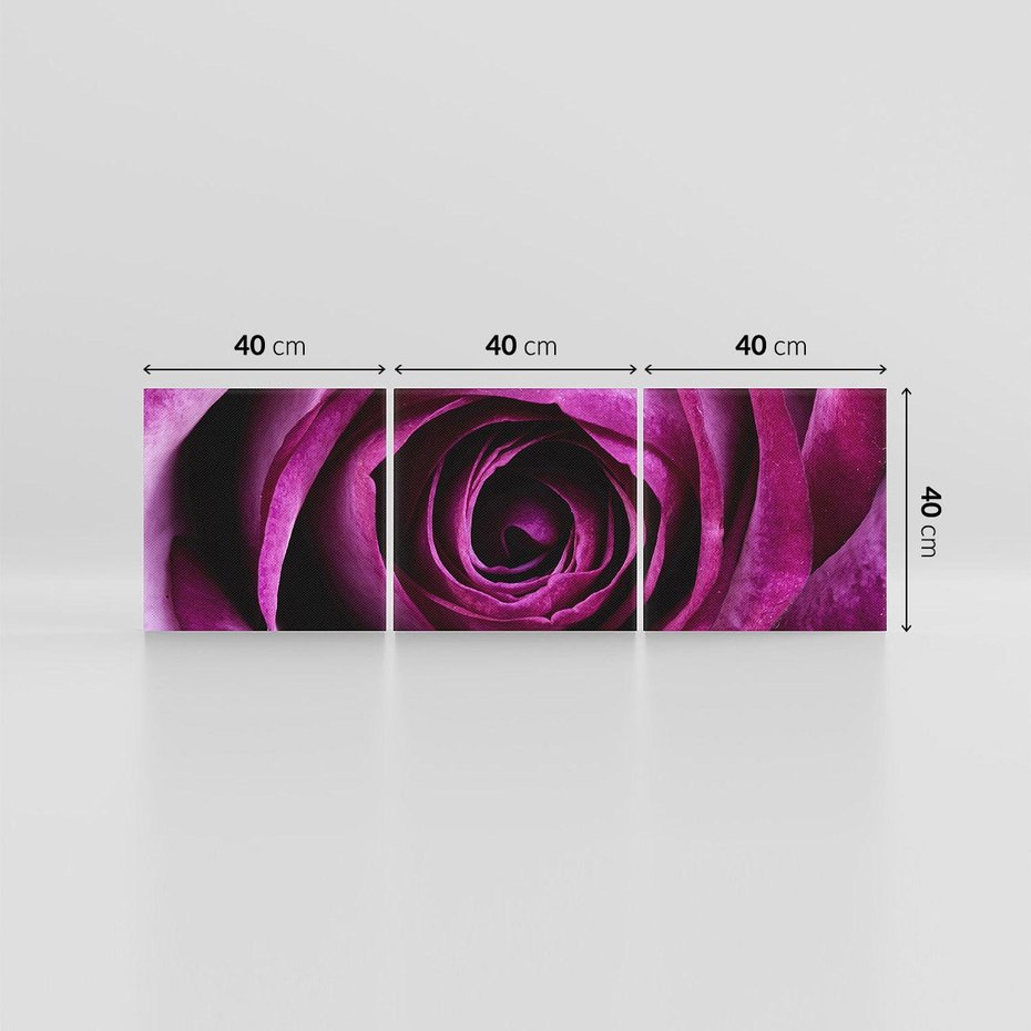 Obraz na płótnie 120x40 - piękno w delikatności - róża, kwiat