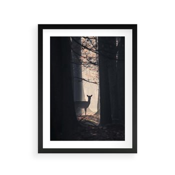 Plakat w ramie 40x50 - Sarnie Skoki - zdjęcie, klimatyczny las - rama czarna