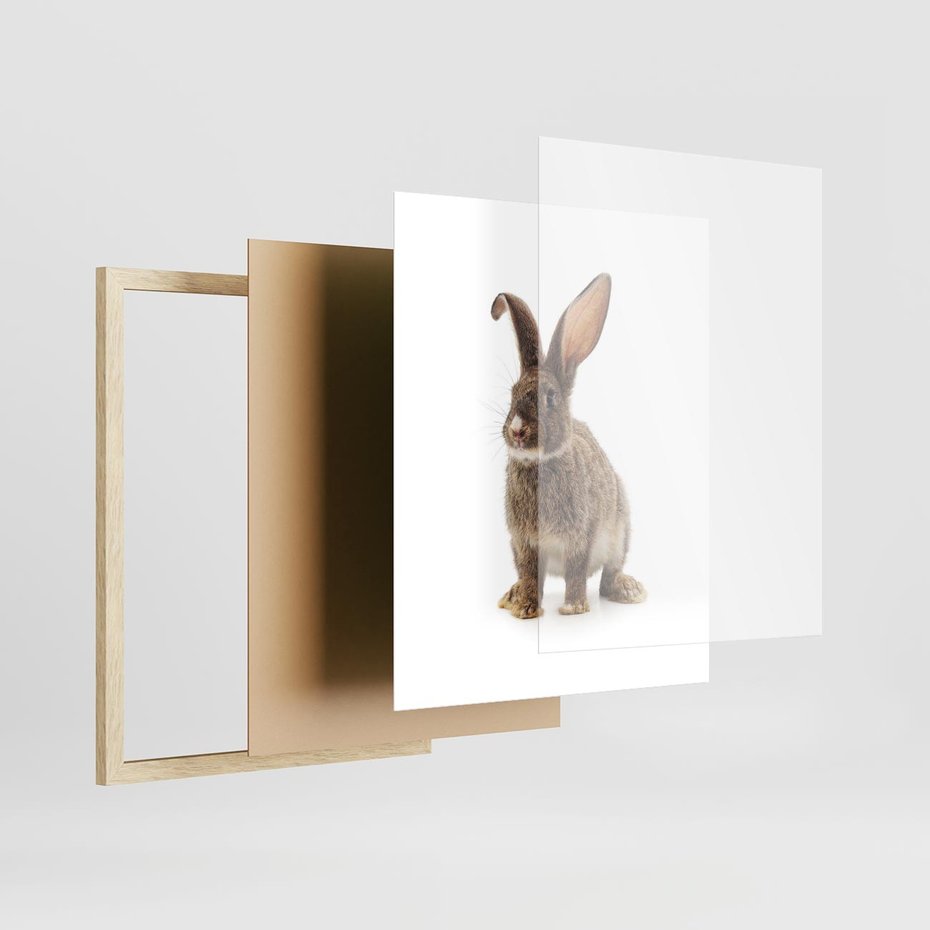 Plakat w ramie 40x50 - Delikatna Zwierzęca Uroda - królik, zwierzę - rama drewno