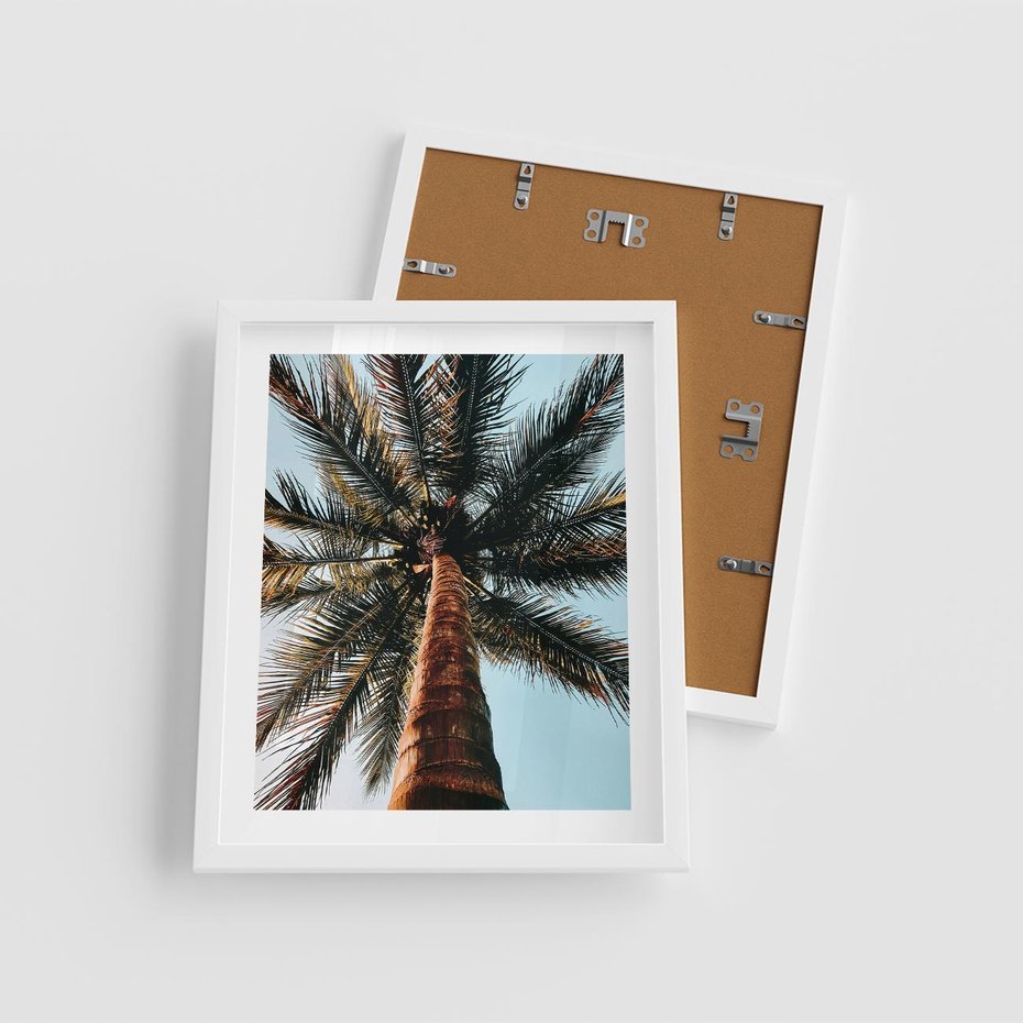 Plakat w ramie 40x50 - Rajskie Inspiracje: Palma na Niebie - palma, na tle nieba - rama biała