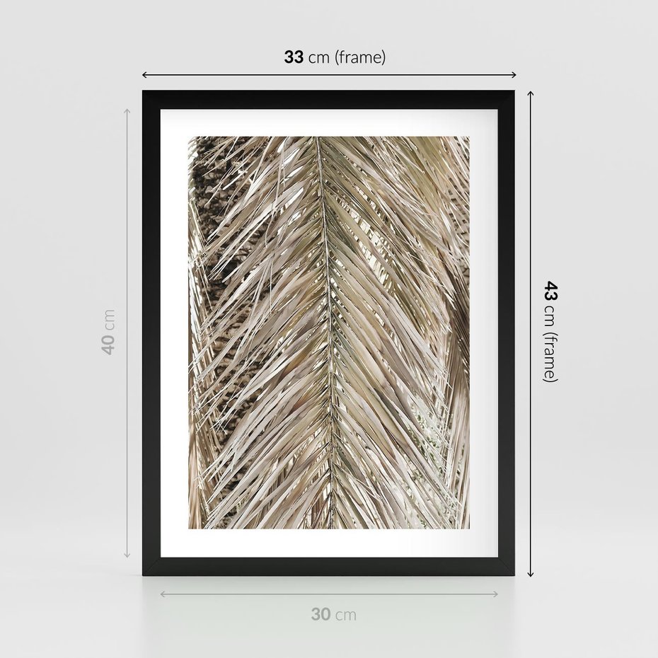Plakat w ramie 30x40 - Boho Urok Palmy: Zbliżenie Natury - sucha palma, zbliżenie - rama czarna