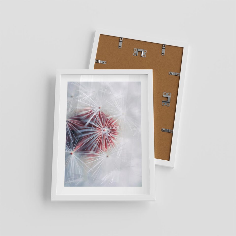 Plakat w ramie 30x40 - Minimalistyczna Delikatność - zbliżenie, dmuchawce - rama biała