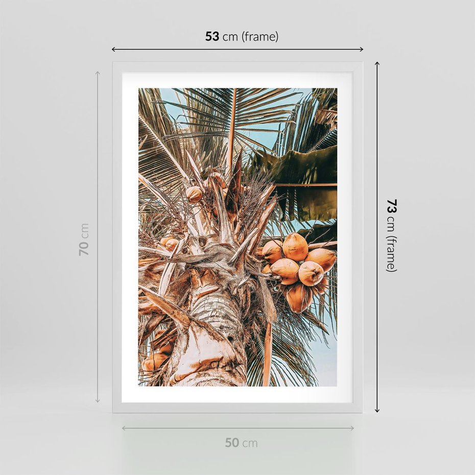 Plakat w ramie 50x70 - Tropikalna Palma: Fotografia z Kokosami - palma kokosowa, kokosy - rama biała