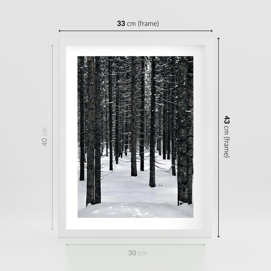 Plakat w ramie 30x40 - Zimowe Drzewa: Śnieg na Pniach - drzew w zimi, pnie drzew - rama biała