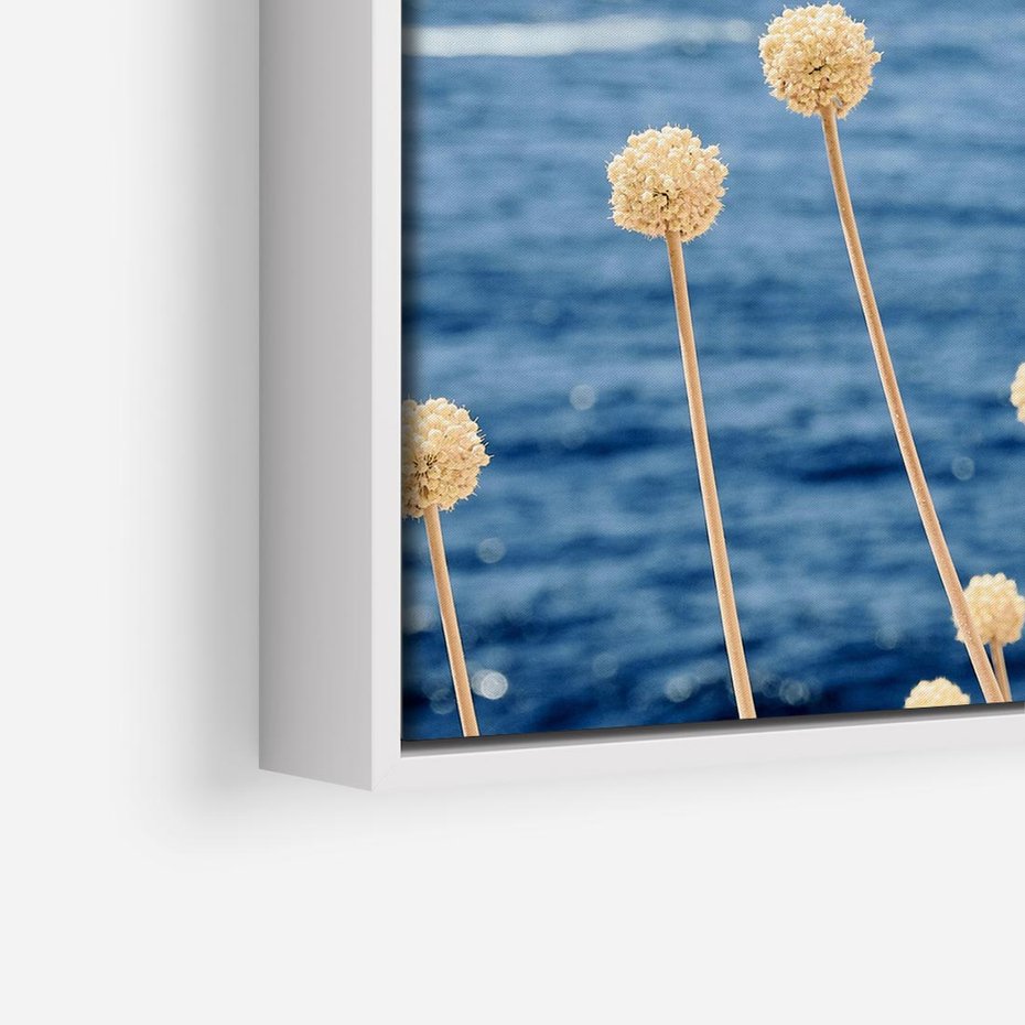 Obraz w ramie 80x80 - Kontrasty Natury - fotografia, pierwszy plan sucha roślinność - rama biała