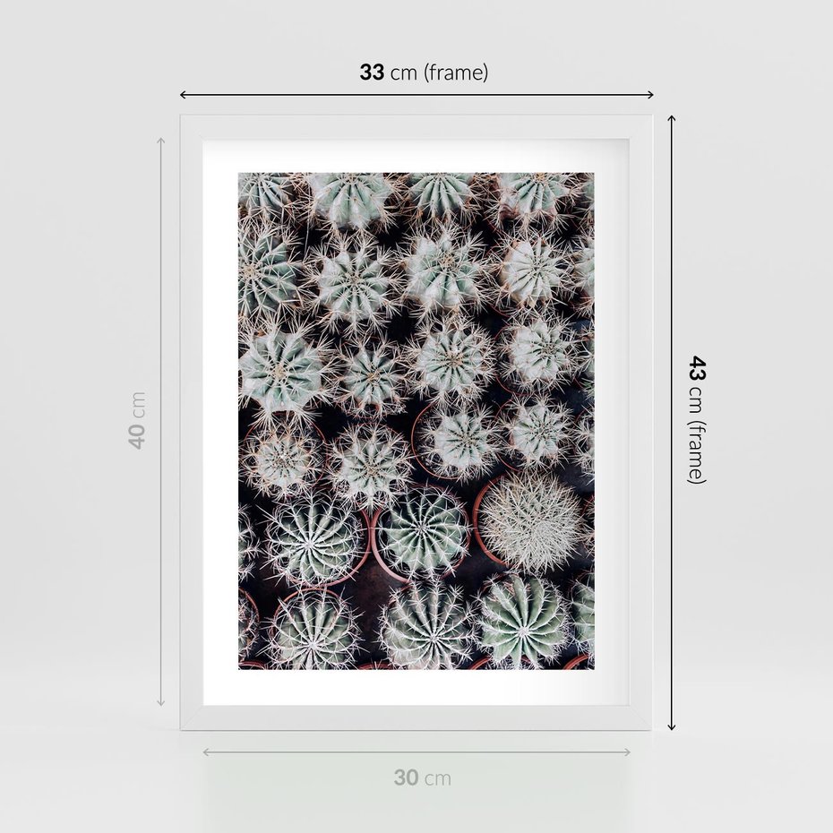 Plakat w ramie 30x40 - Wzór Kaktusów - kaktusy w doniczkach, ujęcie z góry - rama biała