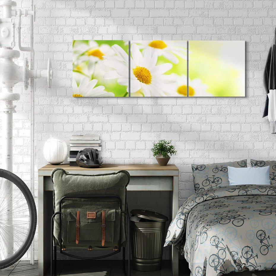 Obraz na płótnie 90x30 - Stokrotka: delikatność natury - stokrotka, kwiat