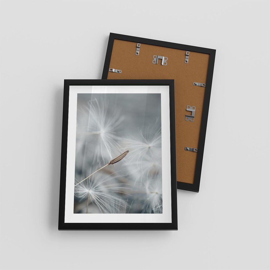 Plakat w ramie 30x40 - Piękno w Delikatności - dmuchawiec, makro zdjęcie - rama czarna