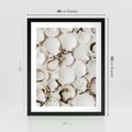 Plakat w ramie 40x50 - Białe Muszle - białe muszle, ujęcie z góry - rama czarna