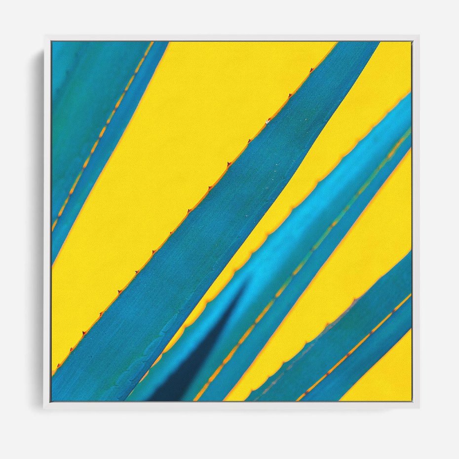 Obraz w ramie 80x80 - Świeżość Natury - aloes, liście - rama biała