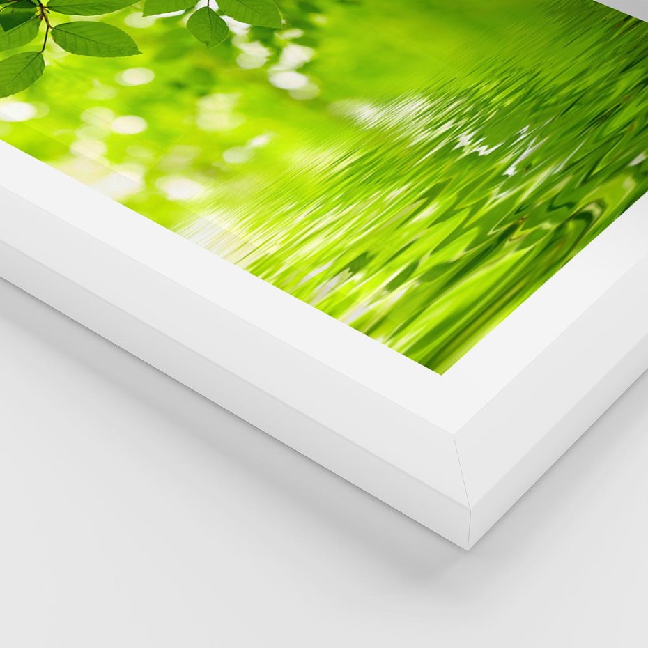 Plakat w ramie 50x70 - Liście w Wodzie - liście, woda - rama biała