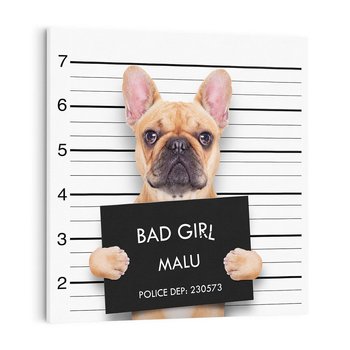 Obraz na płótnie 50x50 - przyjaciel na zawsze - pies, piesek