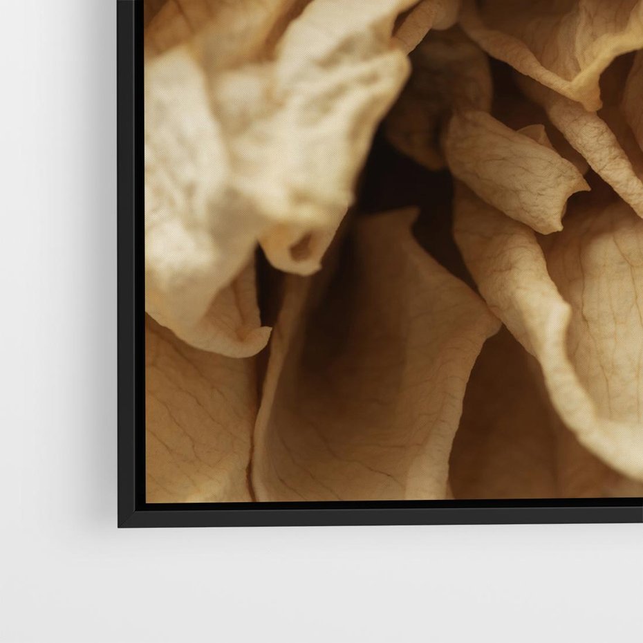 Obraz w ramie 50x50 - Zjawiskowe zasuszone kwiaty - zasuszone, kwiaty - rama czarna