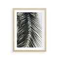 Plakat w ramie 30x40 - Liść Palmy: Egzotyczny Detal Natury - palma, liść palmy - rama drewno
