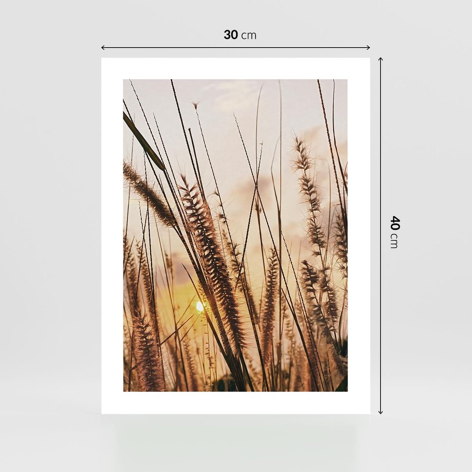 Plakat bez ramy 30x40 - Malownicza Łąka z Trawam - trawy, łąka