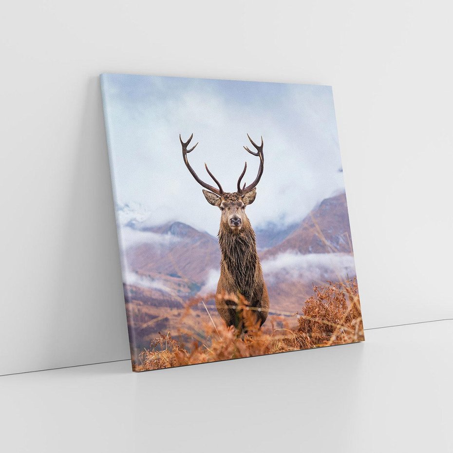 Obraz na płótnie 80x80 - Jeleń w Uśpionym Krajobrazie - jeleń na tle gór, ośnieżone góry