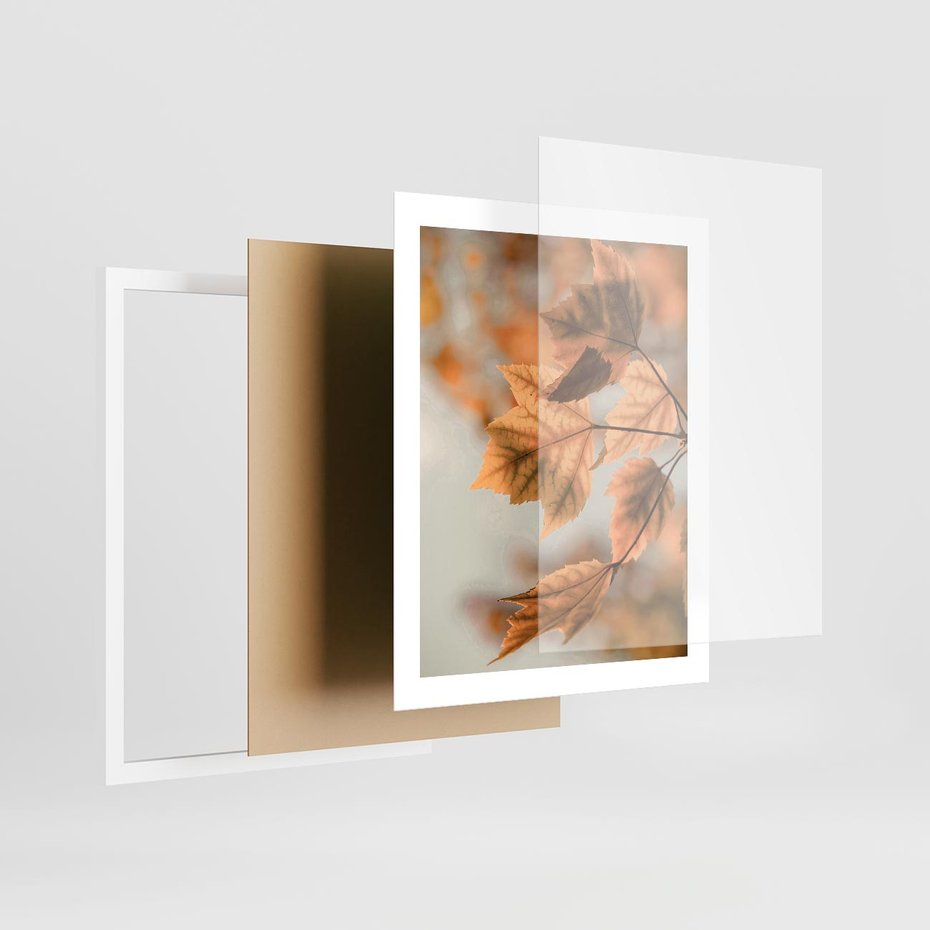 Plakat w ramie 40x50 - Magia Jesieni - liście, jesień - rama biała