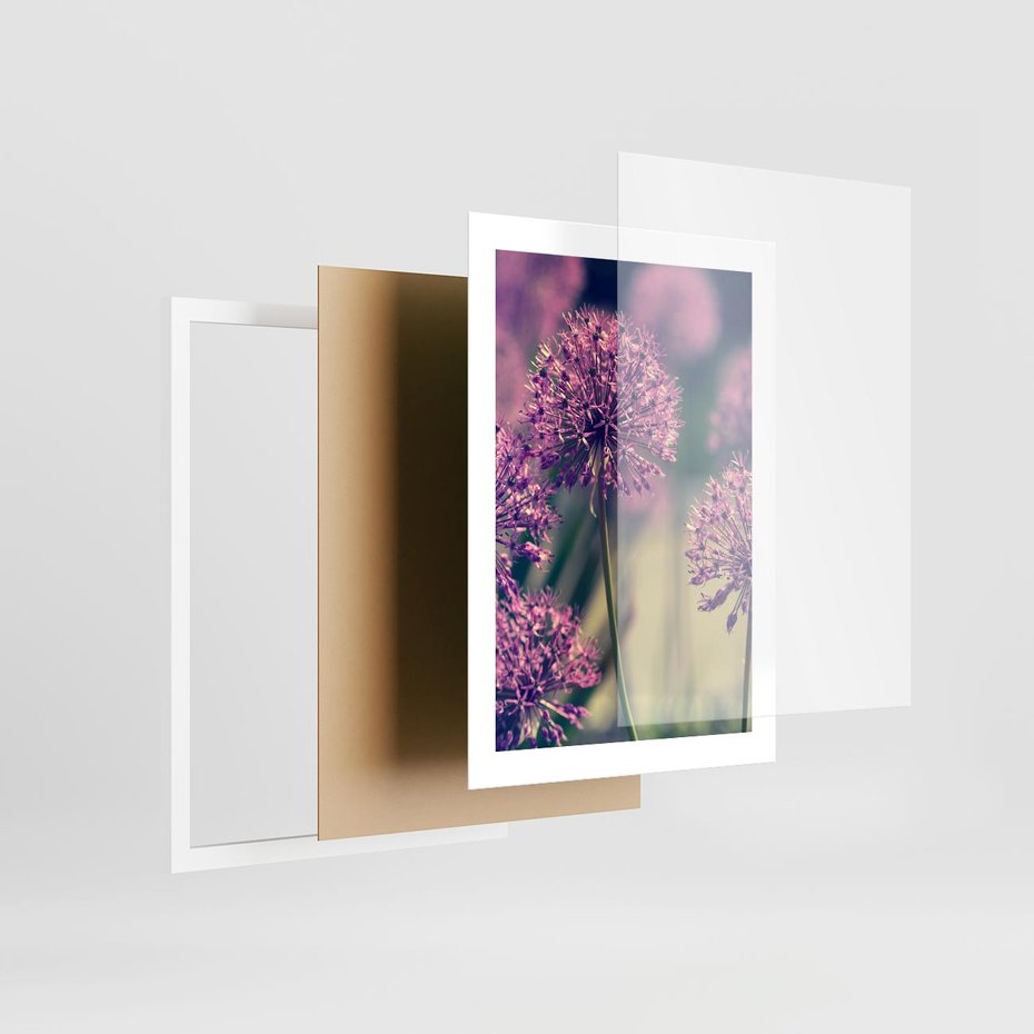 Plakat w ramie 30x40 - Kwiatowa łąka w pełnym rozkwicie - kwiaty, łąka - rama biała