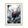 Plakat w ramie 50x70 - Chwila Zimowego Uroku - zima, ośnieżona gałązka - rama drewno