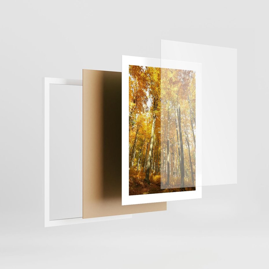 Plakat w ramie 30x40 - Jesienny Las - Kolorowa Paleta Natury - jesień, drzewa - rama biała