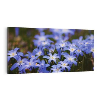 Obraz na płótnie 120x60 - Kwiatowy raj w naturze - kwiat, kwiaty