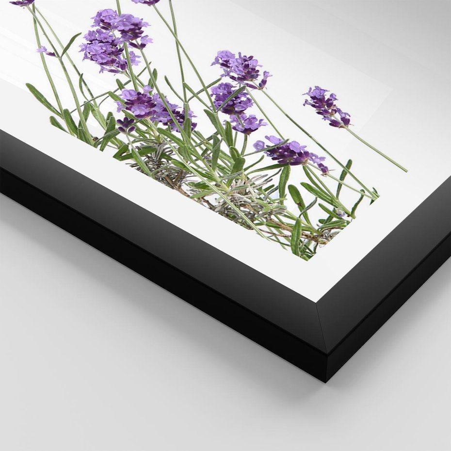 Plakat w ramie 40x50 - Delikatny Urok - lawenda, kwiaty - rama czarna