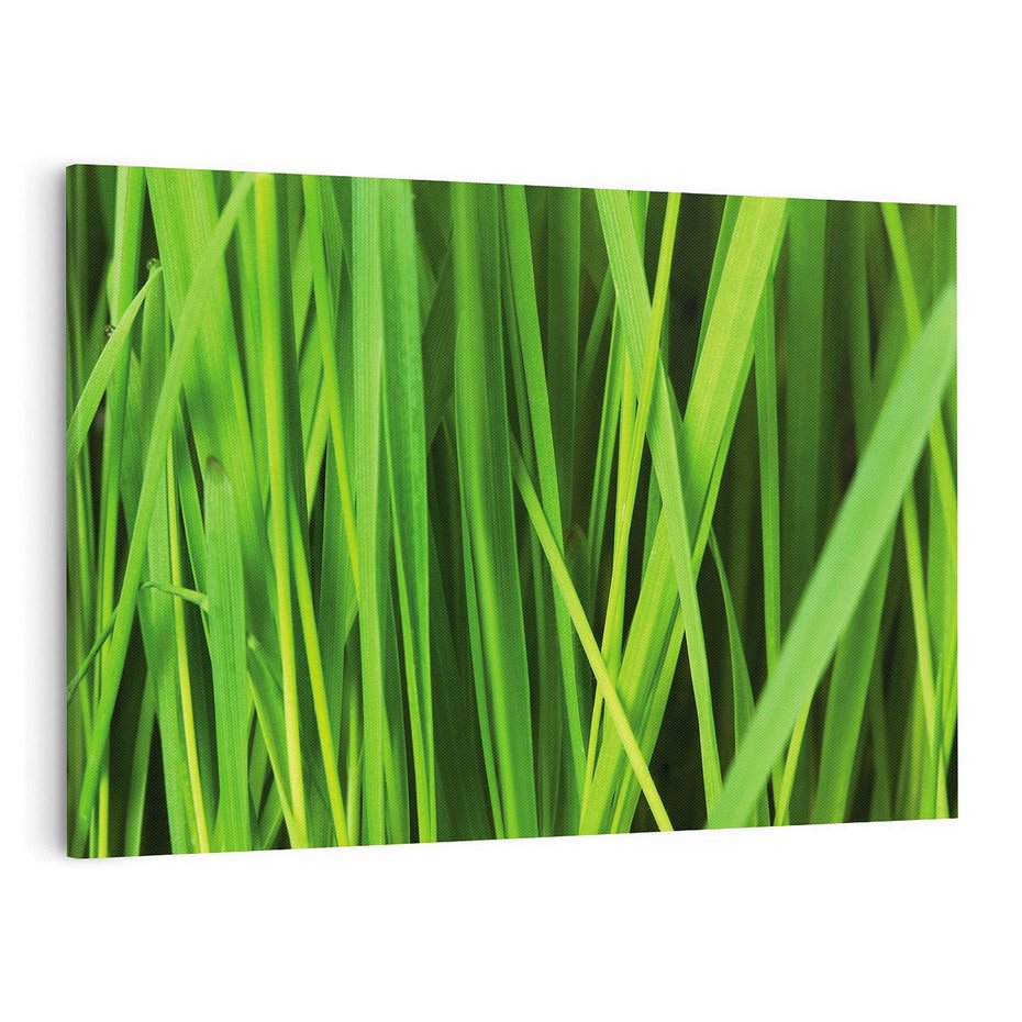 Obraz na płótnie 100x70 - Trawa w abstrakcji: natura przekształcona - trawa, abstrakcja
