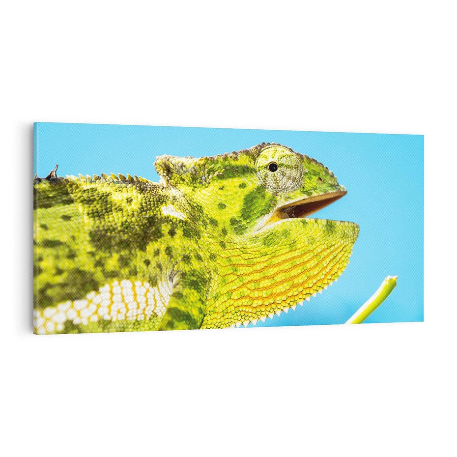 Obraz na płótnie 120x60 - Kameleon w swoim świecie - kameleon, jaszczurka