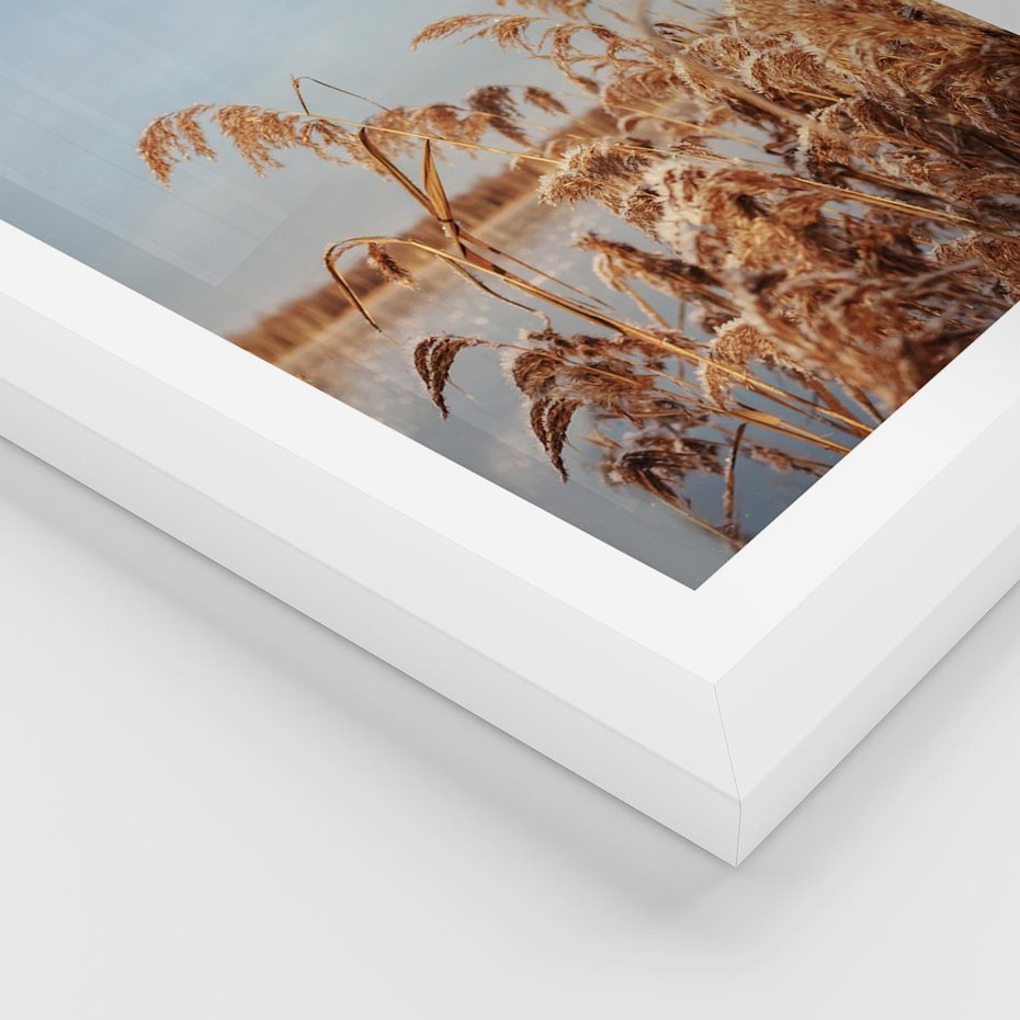 Plakat w ramie 30x40 - Wyraz Stylu - trawy, boho - rama biała