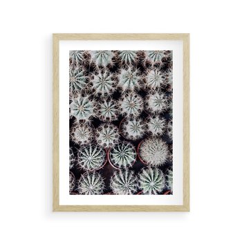 Plakat w ramie 30x40 - Wzór Kaktusów - kaktusy w doniczkach, ujęcie z góry - rama drewno