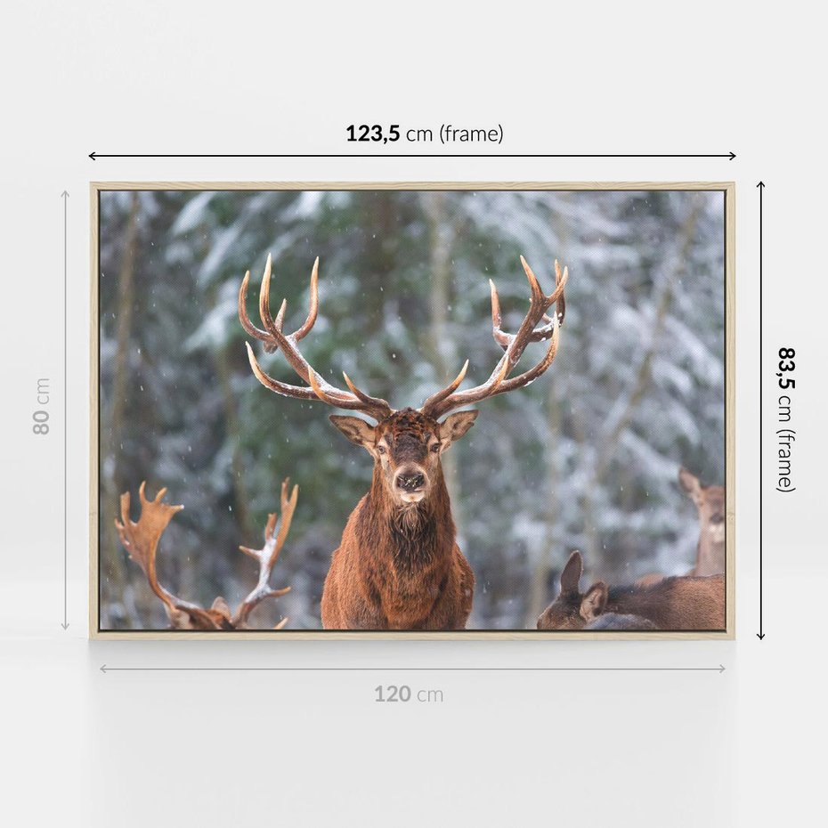 Obraz w ramie 120x80 - Monarcha Zimowej Dziczy - jeleń, zima - rama drewno