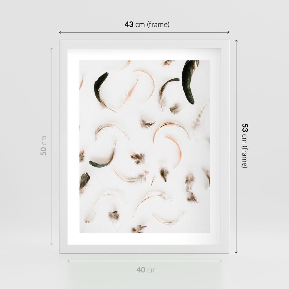 Plakat w ramie 40x50 - Kompozycja z Piór - pióra, kompozycja - rama biała