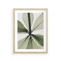 Plakat w ramie 30x40 - Jasna Zieleń w Makro - makro zdjęcie liści, jasna zieleń - rama drewno