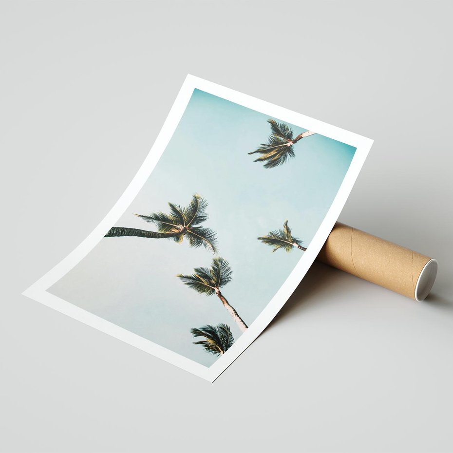 Plakat bez ramy 21x30 - Palmy i Niebo - palmy, ujęcie z dołu