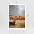 Plakat bez ramy 21x30 - Malownicza Harmonia - jelenie, jesień