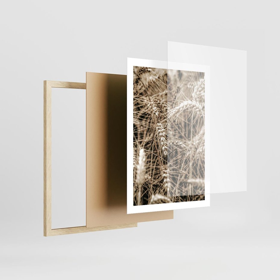 Plakat w ramie 50x70 - Zbliżenie na Kłosy Zboża - zboża, kłosy zboża - rama drewno