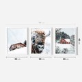 Zestaw obrazy w ramie 30x40 galeria - Zima, bizon, góry, śnieg - rama biała