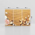 Obraz na płótnie 120x80 - Muszelki na malowniczej plaży - muszle, muszelki