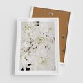Plakat w ramie 50x70 - Białe Kwiaty: Płatki Delikatności - białe kwiaty, zbliżenie - rama biała
