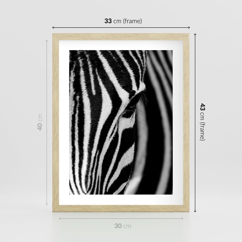 Plakat w ramie 30x40 - Pasy Zebr - zebra, paski - rama drewno