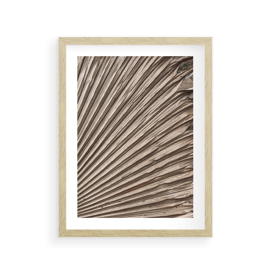 Plakat w ramie 30x40 - Liść Palmy w Wyjątkowej Kompozycji - suchy liść palmy, boho styl - rama drewno