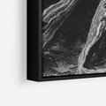 Obraz w ramie 70x100 - Siła Natury - czarno biała fotografia, korzenie wielkiego drzewa - rama czarna